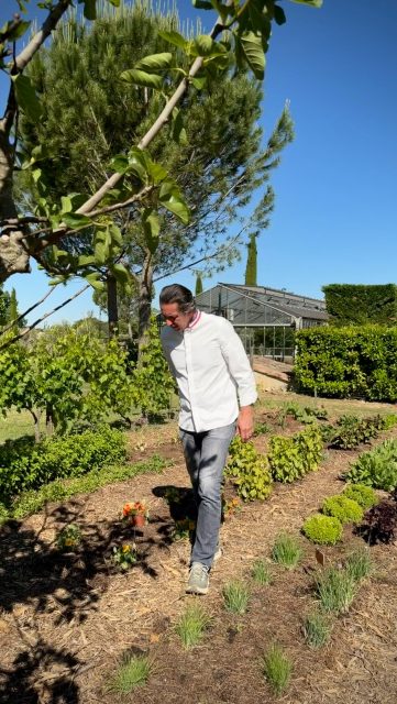 Quand on est chef-propriétaire, on plante, on récolte, on vérifie le minuteur de l’arrosage, on va tâter les mottes en dessous du paillage pour voir si il y a trop d’eau ou pas assez, on fait le point des cistes qui ont tenu bon et ceux qui ont gelé… 
.
On discute aussi avec son jardinier de la tondeuse qui rame en montant sur la butte et on appelle le réparateur pour savoir s’il faut changer le carburateur du taille-haie. 
.
Depuis notre première visite il y a presque quatre ans, le jardin de @lemasleseydins s’est planté et embelli. Les figuiers et les lavandes étaient là, des oliviers ont été ajoutés, de nouvelles tonnelles ombragées se sont montées et le mobilier de jardin a pris place entre deux bosquets taillés. On fait le tour du propriétaire avec @alexbacquie et @christophe_bacquie 
.
#lecoeurdeschefs #christophebacquie #lemasleseydins #luberon #jardin