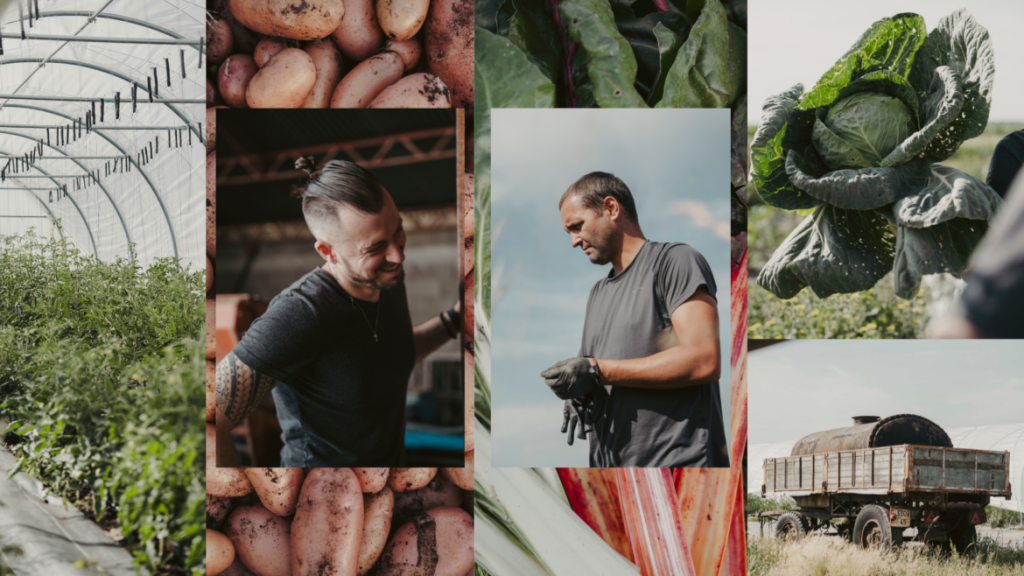 Le potager d&rsquo;Ezia à Montlivault, par le chef Nicolas Aubry